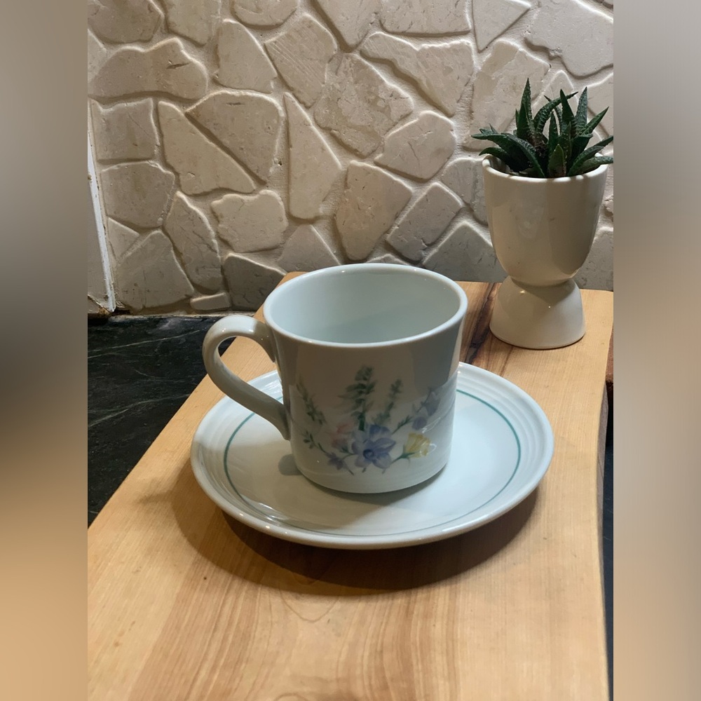 ROYAL DOULTON | Shady Lane Cup & Saucer Set